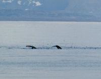 10. Tag - Wale &ndash; &copy; Christin Kuschka (Eberhardt TRAVEL)