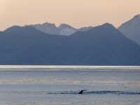 10. Tag - Wale &ndash; &copy; Christin Kuschka (Eberhardt TRAVEL)