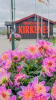 Kirkenes - geographischer Wendepunkt der Reise - Ab jetzt sind wir die südwärtsgehende Hurtigrute M/S Nordkapp