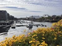Trondheim bei Sonnenschein  &ndash; &copy; Carola Gastmeier (Eberhardt TRAVEL)