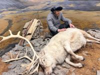Im Polarmuseum  &ndash; &copy; Carola Gastmeier (Eberhardt TRAVEL)
