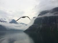 046 Aurlandsfjord
