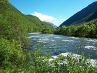 Im Dovrefjell