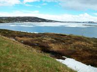 Hardangervidda