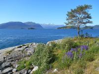Langfjord &ndash; &copy; Katrin Deutschbein (Eberhardt TRAVEL)