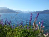 Langfjord &ndash; &copy; Katrin Deutschbein (Eberhardt TRAVEL)