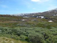 Hardangervidda &ndash; &copy; Katrin Deutschbein (Eberhardt TRAVEL)