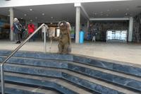 SAM_0824
