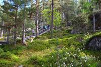093 Inari, Bärenhöhle &ndash; &copy; Konrad Füssel (Eberhardt TRAVEL)