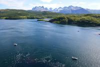 264 Am Saltstraumen &ndash; &copy; Konrad Füssel (Eberhardt TRAVEL)