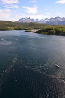 266 Am Saltstraumen &ndash; &copy; Konrad Füssel (Eberhardt TRAVEL)