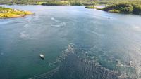 267 Am Saltstraumen &ndash; &copy; Konrad Füssel (Eberhardt TRAVEL)