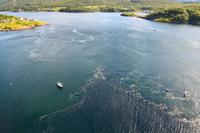 268 Am Saltstraumen &ndash; &copy; Konrad Füssel (Eberhardt TRAVEL)