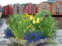 Trondheim &ndash; &copy; Steffen Mucke (Eberhardt TRAVEL)