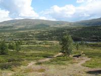 Dovrefjell &ndash; &copy; Peter Rudolph (Eberhardt TRAVEL)