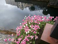 Alesund &ndash; &copy; Ingrid Langer (Eberhardt TRAVEL)