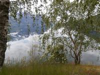 am Lustrafjord &ndash; &copy; Ingrid Langer (Eberhardt TRAVEL)