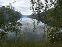 am Lustrafjord &ndash; &copy; Ingrid Langer (Eberhardt TRAVEL)