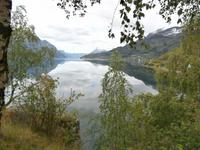 am Lustrafjord &ndash; &copy; Ingrid Langer (Eberhardt TRAVEL)