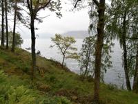 am Hardangerfjord &ndash; &copy; Ingrid Langer (Eberhardt TRAVEL)