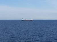 13.06.15: Seebegegnung in den frühen Morgenstunden nahe den schwedischen Gewässern &ndash; &copy; Bernhard Sieber (Eberhardt TRAVEL)