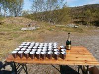 Molde-Sektempfang mit Eberhardt &ndash; &copy; Ingrid Langer (Eberhardt TRAVEL)