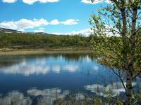 Dovrefjell