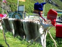 Camp der Samen &ndash; &copy; Steffen Mucke (Eberhardt TRAVEL)