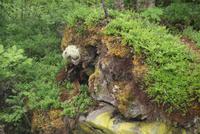 Troll &ndash; &copy; Maria Drewans (Eberhardt TRAVEL)
