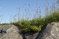 Farbspiel &ndash; &copy; Maria Drewans (Eberhardt TRAVEL)
