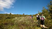 Auf der ersten Wanderung bei Lillehammer &ndash; &copy; Dorothea Baumert (Eberhardt TRAVEL)
