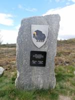 Stele Moschusochsen im Dovrefjell &ndash; &copy; Ingrid Langer (Eberhardt TRAVEL)