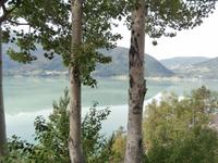 Lustrafjord &ndash; &copy; Ingrid Langer (Eberhardt TRAVEL)