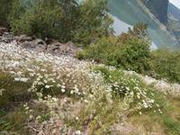 Lustrafjord &ndash; &copy; Ingrid Langer (Eberhardt TRAVEL)
