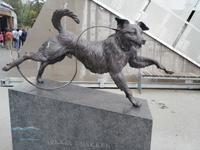 Holmenkollen Hund &ndash; &copy; Ingrid Langer (Eberhardt TRAVEL)