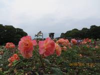 Rosengarten &ndash; &copy; Sabine Letzybyll (Eberhardt TRAVEL)