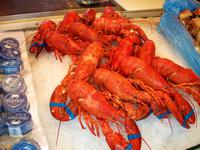 Bergen, Fischmarkt &ndash; &copy; Steffen Mucke (Eberhardt TRAVEL)