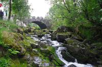 Alte Steinbrücke &ndash; &copy; Norbert Binder (Eberhardt TRAVEL)