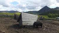 Lofoten-Rundfahrt (Wikinger-Museum in Borg) &ndash; &copy; Katrin Deutschbein (Eberhardt TRAVEL)