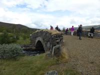 107-Dovrefjell &ndash; &copy; Dirk Schlosser (Eberhardt TRAVEL)