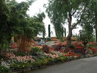 Botanischer Garten Stavanger  (10) &ndash; &copy; Josefin Keilwagen (Eberhardt TRAVEL)