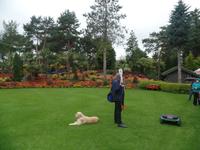 Botanischer Garten Stavanger  (14) &ndash; &copy; Josefin Keilwagen (Eberhardt TRAVEL)