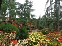 Botanischer Garten Stavanger  (11) &ndash; &copy; Josefin Keilwagen (Eberhardt TRAVEL)