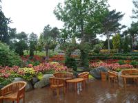 Botanischer Garten Stavanger  (16) &ndash; &copy; Josefin Keilwagen (Eberhardt TRAVEL)