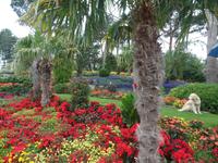 Botanischer Garten Stavanger  (17) &ndash; &copy; Josefin Keilwagen (Eberhardt TRAVEL)