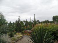 Botanischer Garten Stavanger  (21) &ndash; &copy; Josefin Keilwagen (Eberhardt TRAVEL)