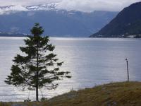 Leikanger &ndash; &copy; Sabine Letzybyll (Eberhardt TRAVEL)