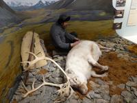 135_Tromsoe &ndash; &copy; Dirk Schlosser (Eberhardt TRAVEL)