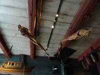 045. Hanseatisches Museum, Bergen, Norwegen, AIDAvita &ndash; &copy; Maria Michel (Eberhardt TRAVEL)