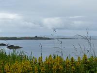 329. Haugesund, Norwegen, AIDAvita &ndash; &copy; Maria Michel (Eberhardt TRAVEL)